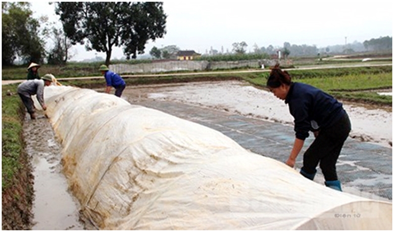 https://file1.dangcongsan.vn/data/0/images/2022/01/31/vanphong/chong-ret-1.jpg?dpi=150&quality=100&w=780